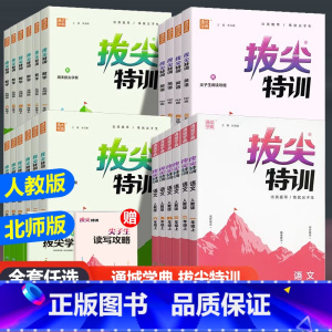 [3本套装]语+数人教+英人教 三年级上 [正版]2024新版 通城学典拔尖特训一二三四五六年级上下册册语文数学英语 小