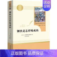 钢铁是怎样炼成的 [正版]初中生课外书全套12册 朝花夕拾鲁迅西游记骆驼祥子原著老舍海底两万里阅读书籍课外书七年级八九初