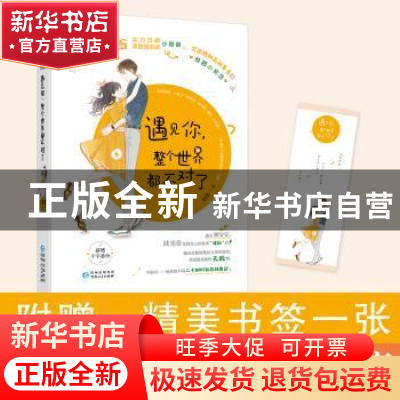 正版 遇见你整个世界都不对了 时巫 大鱼文化 贵州人民出版社 978