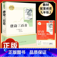[人教版]唐诗三百首 [正版]人教版全套5册 九年级必读名著艾青诗选和水浒传原著完整简爱儒林外史人民教育出版社初三上册下