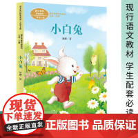 人民教育出版社小白兔刘御儿歌童谣精选63篇二年级上册课外书必读老师经典小学语文同步阅读教材配套课本里的作家作品系列
