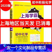 [友一个正版] 上海学霸笔记高能手账 初中化学通用版 六七八九年级通用 涵盖初中学霸笔记四年知识的漫画课堂学习笔记