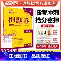 语文 全国卷版 [正版]理想树2024新版高考必刷卷押题卷语文新高考全国卷名师原创高三总复习高考必刷题临考冲刺预测考向信