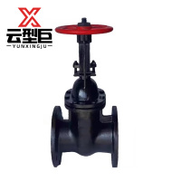 云型巨 铸铁法兰闸阀 Z45T-16明杆DN80 个