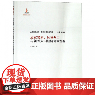 适宜要素区域分工与新兴大国经济协调发展/大国经济丛书
