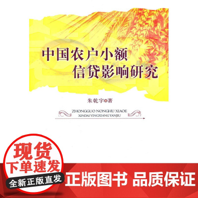 中国农户小额信贷影响研究 朱乾宇 人民出版社 正版书籍