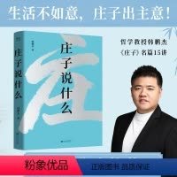 [正版]庄子说什么 韩鹏杰著 道德经说什么作者新作 道家经典解读著作 解析庄子15个代表名篇 樊登作序 果麦文化