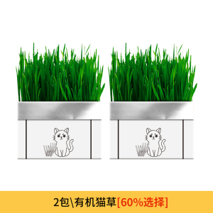 [补贴10%]猫草盆栽化毛草种子非已种好懒人小麦种子猫咪零食品水培营养种植