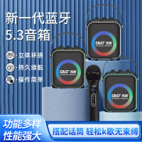先科(SAST)户外手提音响T93 灰色 双话筒 广场舞音响手提便携式无线蓝牙音箱大音量户外骑行K歌