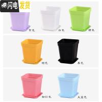 三维工匠小黑方小方大黑方大彩方多肉植物塑料花盆叶插育苗配搭托盘 7cm混色80个 单独盆不含底托花盆容器