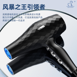吹风机家用电吹风筒蓝光负离子护发飓风速干酒店发廊同款 至尊钻石版两件套+40亿蓝光离子台风级飚风机芯+赠风嘴