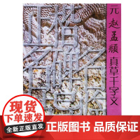 元赵孟頫真草千字文 正楷名碑名帖导临 名家草书毛笔书法字帖技法临摹鉴赏书籍笔书法入门自学教材 山东美术出版社