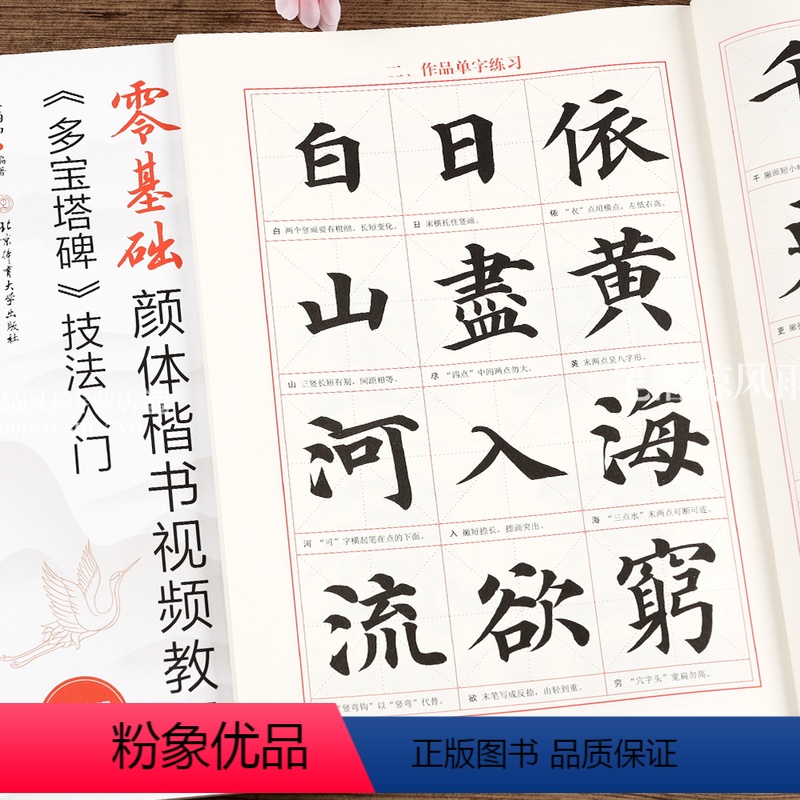 [正版]颜真卿多宝塔碑技法入门 零基础颜体楷书视频教程 毛笔楷书书法练字帖 米字格基本笔画偏旁部首 王丙申编 北京体育