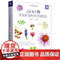500种常见野花野草识别图鉴 彩图典藏版 贺风春 常见园林花草树木植物野花野外识别与鉴赏手册速查图谱图鉴通俗易懂的百科全