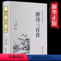 [正版]精装全译本 唐诗三百首全解中国古诗词书籍全宋词鉴赏词典辞典赏析唐诗宋词选集古代古典诗词书籍配宋词三百首华好诗词