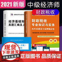 中级经济师2021财政税收专业历年真题及专家押题试卷(2册套装):财政+经济基础知识