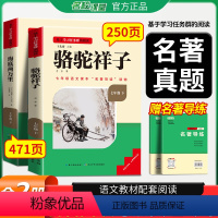 骆驼祥子+海底两万里[赠名著导练] [正版]名校课堂读书侠骆驼祥子原著必读老舍七年级下册的课外书初一7下名著初中阅读书籍