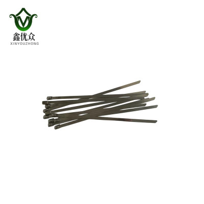 鑫优众 扎带 4.6*100mm 根