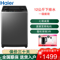 海尔(Haier)波轮洗衣机12公斤大容量全自动直驱变频一级能效 超净洗 除菌除螨 自编程 XQB120-BZ20L0