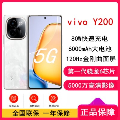 vivo Y200 繁花 12GB+256GB 骁龙6 5G芯 6000mAh电池 44W充电 5000万高清影像 44W闪充 5G 手机 Y100