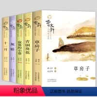 [正版]曹文轩书籍书籍四五小说青铜经典系列书籍课外文学著名书目阅读与鉴赏系列葵花阅读六年级草房子儿童5册纯美小学生全套
