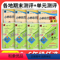 8本❤❤[各期期末卷+单元卷]人教语数英+[科学]教科版 六年级下 [正版]2024孟建平各地期末试卷精选一二三年级四五