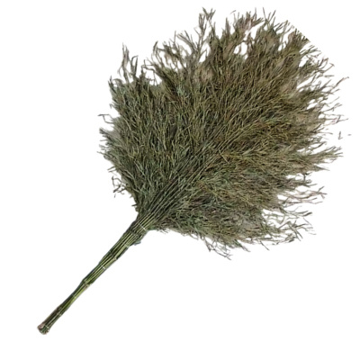 永满铁运 大扫把 竹制 把