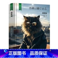 我是猫 [正版]精装珍藏版世界文学名著名译典藏中小学生课外阅读书籍外国文学名家翻译爱的教育爱丽丝梦游奇境变形记茶花女沉思