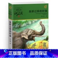 象群迁移的时候 [正版]完整版象群迁移的时候全本沈石溪的图书籍动物小说大王品藏军旅系列小学生四五六年级儿童文学珍藏全集全