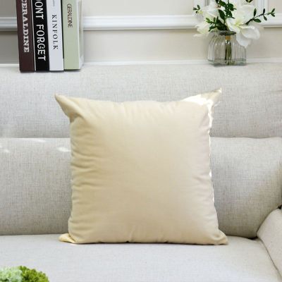欧式客厅沙发抱枕纯色超柔天鹅绒布艺靠垫套办公室午睡靠枕枕头芯