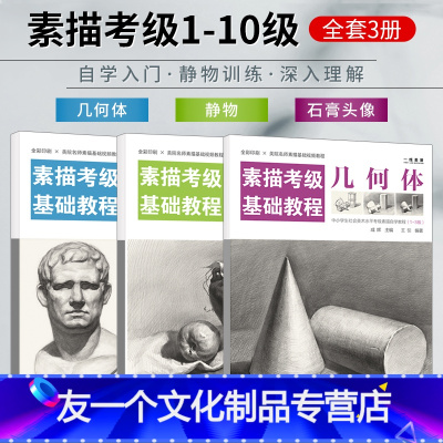 [友一个正版]素描考级三册 素描考级基础教程 几何体石膏头像静物实例练习铅笔画手绘素描基础临摹速写教材高考艺考级画册学
