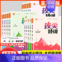 英语[译林版] 九年级上 [正版]2024拔尖特训七7八8九9年级上下册语文数学英语物理化学苏科译林初中 生初一初二初三