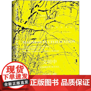 文明中的疯癫 一部关于精神错乱的文化史(英)安德鲁·斯卡尔(Andrew Scull) 著 经雷 译WX