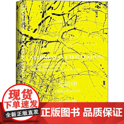 文明中的疯癫 一部关于精神错乱的文化史(英)安德鲁·斯卡尔(Andrew Scull) 著 经雷 译WX