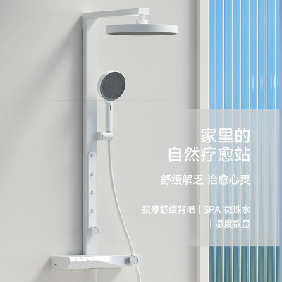 瑞尔特R&T智能圆形带升降S60淋浴套装节水2级花洒设计典雅