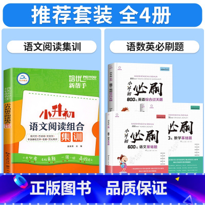 [升学必练!全套4册]语文阅读+小升初语数英必刷题 小学升初中 [正版]小升初阅读理解专项训练语文阅读组合集训人教版六年