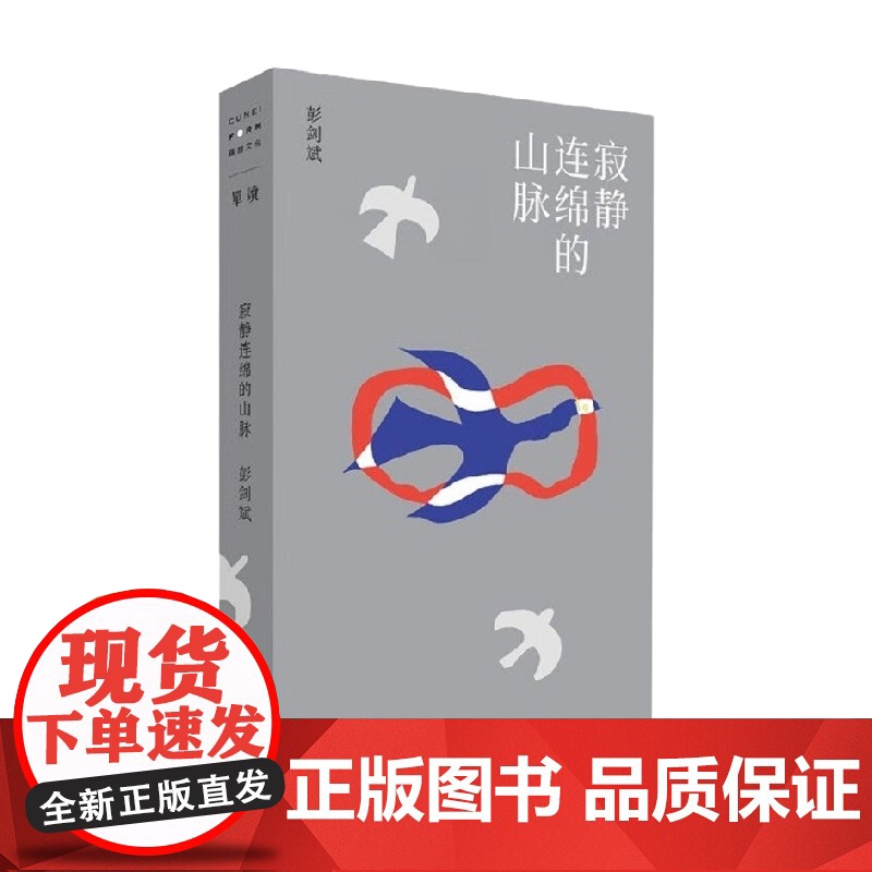 寂静连绵的山脉 彭剑斌 著 小说