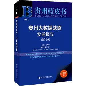 贵州大数据战略发展报告(2019)/贵州蓝皮书