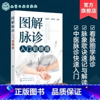 [正版] 图解脉诊入门到精通 中医脉诊基础理论入门自学把脉辨证诊断学脉象图谱图解脉诊书籍 中医脉诊从入门到精通临床中医