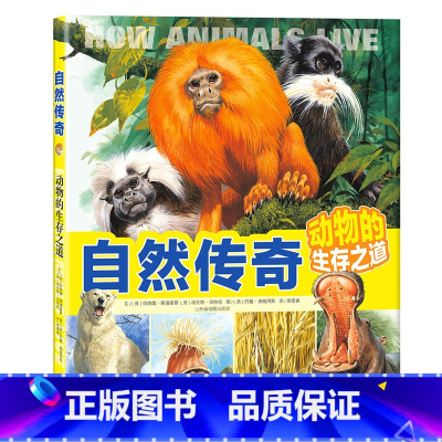 [正版]北斗自然传奇:动物的生存之道 动物的智慧和行为大百科全书 6-12岁儿童科普书揭秘自然动物生命奥秘图画书籍