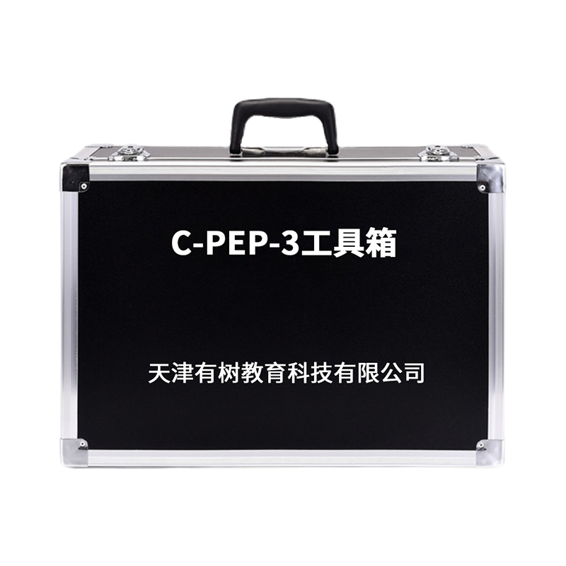 有树 YSXL-CPEP3 C-PEP-3自闭症孤独症量表儿童测试减压专业早教教具