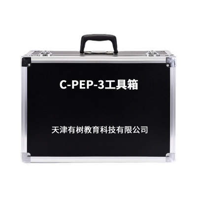 有树 YSXL-CPEP3 C-PEP-3自闭症孤独症量表儿童测试减压专业早教教具