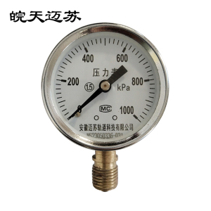 皖天迈苏 压力表 Y-60 只