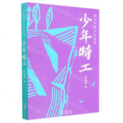 [N]少年特工/战火中的少年传奇-9787511063540