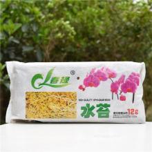 食虫植物图片 食虫植物图片大全 苏宁易购