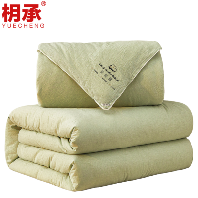 枂承冬被2.2m10斤床