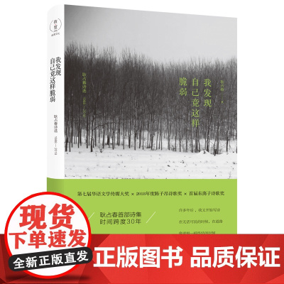 我发现自己竟这样脆弱 第七届华语文学传媒大奖×2018年度陈子昂诗歌奖×首届东荡子诗歌奖 有度文化出品