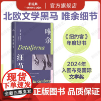 唯余细节 《纽约客》年度好书 24年布克奖入围 伊娅·根伯格 北欧文学黑马 活在丰盈的细节里 瑞典外国小说 克瑙斯高我的