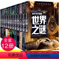 少年发现探索系列[全套12册] [正版]少年探索发现系列少儿科普书籍 你不可不知的兵器之谜 中国世界未解之谜大全集 中小