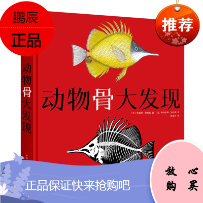 动物骨大发现6-12岁生物骨头骨骼看里面科普百科翻翻看生物动物启蒙认知书籍
